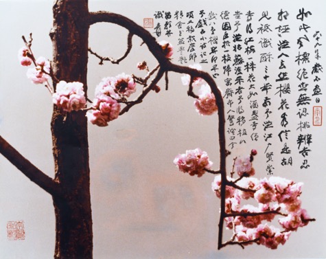 white and red plum blossoms relies on li to support the